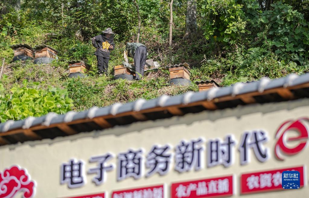 糖果派对免费体验